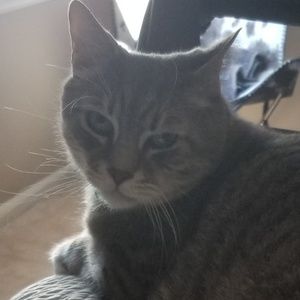 Meet your Posher, Talya